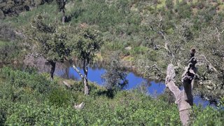 Land for sale in Odemira, Portugal — €160,000