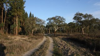 Land for sale in Montemor-o-Novo, Portugal — €1,750,000