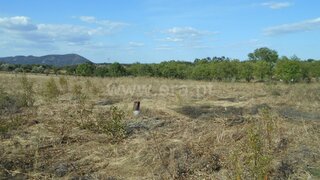 Land for sale in Nisa, Portugal — €27,500