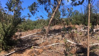 Land for sale in Santa Cruz, Portugal — €39,000