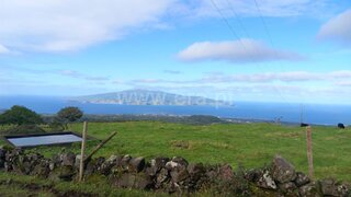 Land for sale in Madalena, Portugal — €98,000