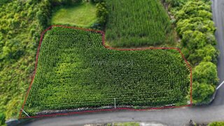 Land for sale in Lajes do Pico, Portugal — €44,000