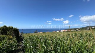 Land for sale in Madalena, Portugal — €65,000