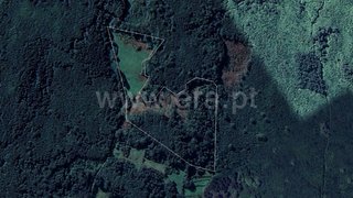 Land for sale in São Roque do Pico, Portugal — €130,000