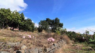 Land for sale in Funchal, Portugal — €155,000