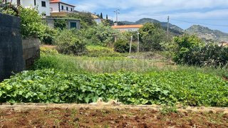 Terreno em Machico