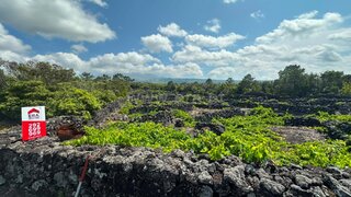 Land for sale in São Roque do Pico, Portugal — €110,000