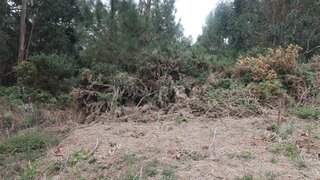 Land for sale in Santa Cruz, Portugal — €50,000