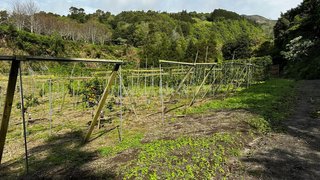 Land for sale in Vila Franca do Campo, Portugal
