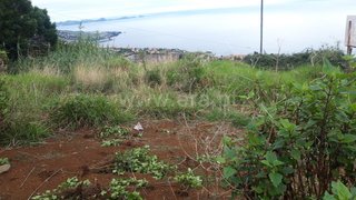 Land for sale in Santa Cruz, Portugal — €50,000