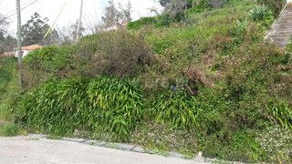 Land for sale in Santa Cruz, Portugal — €39,000