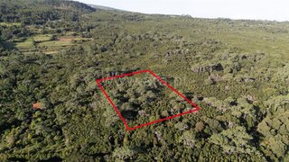 Land for sale in São Roque do Pico, Portugal — €45,000