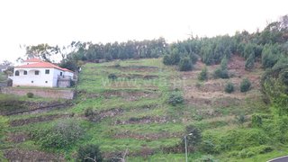 Land for sale in Machico, Portugal — €60,000