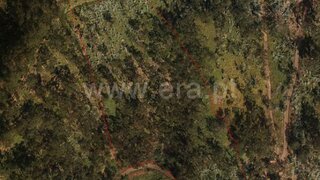 Land for sale in Ribeira Brava, Portugal — €90,000