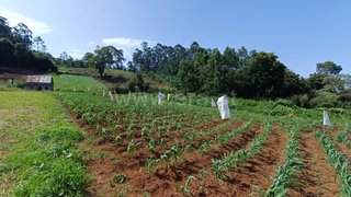 Land for sale in Santana, Portugal — €45,000