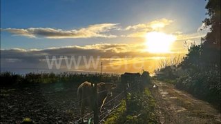 Land for sale in Horta, Portugal — €55,000