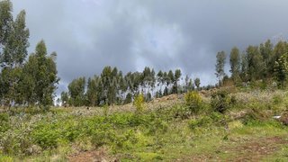 Land for sale in Ponta do Sol, Portugal — €230,000