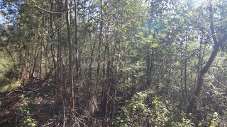 Land for sale in Santa Cruz, Portugal — €60,000