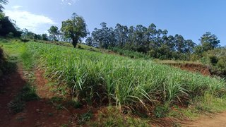 Land for sale in Santana, Portugal — €45,000