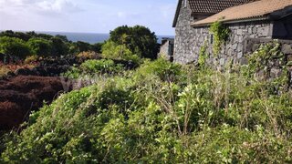 Terreno em Madalena