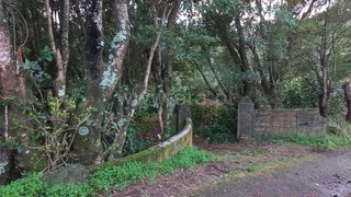 Terreno para venda em Povoação, Portugal — 28 350 €
