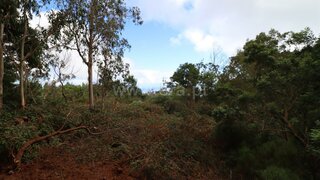 Land for sale in Santa Cruz, Portugal — €58,000
