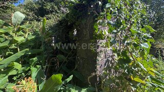 Land for sale in Lajes do Pico, Portugal — €118,000