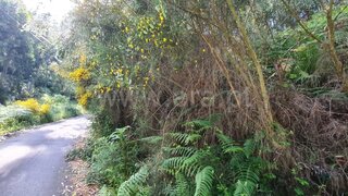 Land for sale in Santa Cruz, Portugal — €28,500