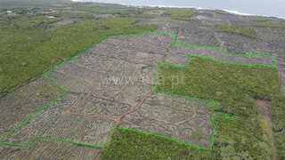 Land for sale in Madalena, Portugal