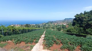 Land for sale in Santana, Portugal — €115,000