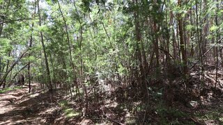 Land for sale in Santa Cruz, Portugal — €30,000