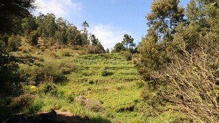 Land for sale in Santa Cruz, Portugal — €89,000