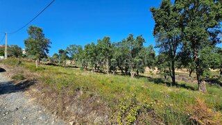 Land for sale in Mação, Portugal — €22,000