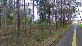 Land for sale in Montemor-o-Velho, Portugal