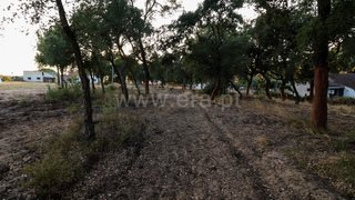 Land for sale in Chamusca, Portugal — €42,000