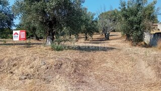 Land for sale in Tomar, Portugal — €65,000