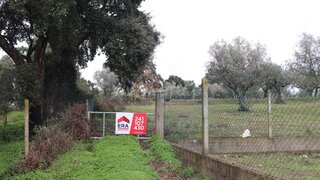 Land for sale in Abrantes, Portugal — €55,000