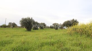 Terreno para venda em Torres Novas, Portugal — 7500 €