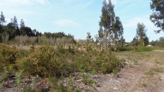 Land for sale in Cantanhede, Portugal — €70,000
