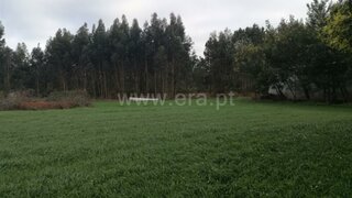 Land for sale in Cantanhede, Portugal