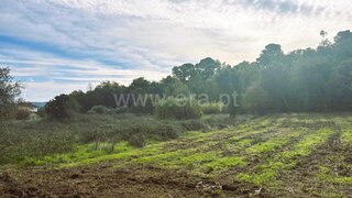 Land for sale in Tomar, Portugal — €75,000