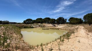 Land for sale in Coruche, Portugal — €425,000