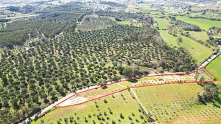 Land for sale in Torres Novas, Portugal — €63,000