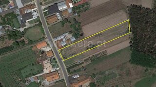 Land for sale in Cantanhede, Portugal