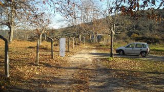 Terreno de 6000 m² em Guarda