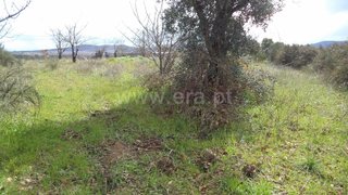 Land for sale in Fundão, Portugal — €39,000