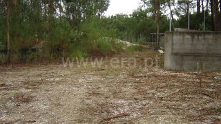 Land for sale in Mira, Portugal