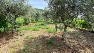 Land for sale in Covilhã, Portugal — €27,380