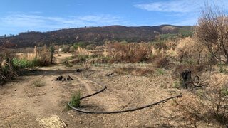 Land for sale in Fundão, Portugal — €12,500