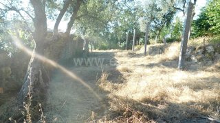 Land for sale in Seia, Portugal — €18,000